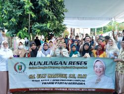 Fenomena El Nino Picu Harga Sembako Naik, Wakil I Ketua DPRD Lampung Elly Wahyuni Minta Pemerintah Tangani Secara Serius
