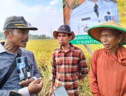 PJ Bupati Marindo Apresiasi Petani Ciptakan Pupuk Organik Berbasis Teknologi Budidaya Mikroba