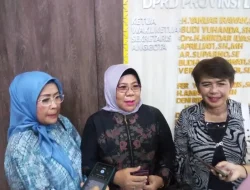 Komisi V DPRR Provinsi Lampung Bakal Panggil RS Mitra Mulia Husada Lampung Tengah, Ada Apa Ya?