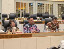 Anggota DPRD Lampung, Condrowati Dorong Pemerintah Pusat Tetapkan Kebijakan Soal Singkong