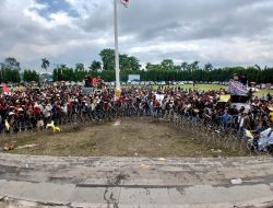 Harga Jual Singkong Anjlok, Petani Minta DPRD Lampung Bertindak