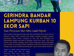 DPC Gerindra Bandar Lampung Kurban 10 Ekor Sapi Di Hari Raya Idul Adha 1446 Hijriah