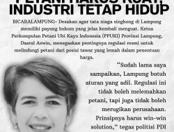 Budhi Condrowati Dorong Regulasi Tata Niaga Singkong: Petani Harus Kuat, Industri Tetap Hidup