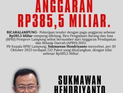 323 Paket Pekerjaaan Selesai di Tender, BPBJ Lampung : Total Pagu Bersumber Dari APBD