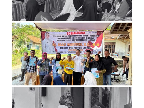 Elly Wahyuni Dorong Penyelesaian Konflik Ditengah Warga Melalui Jalur Musyawarah Mufakat