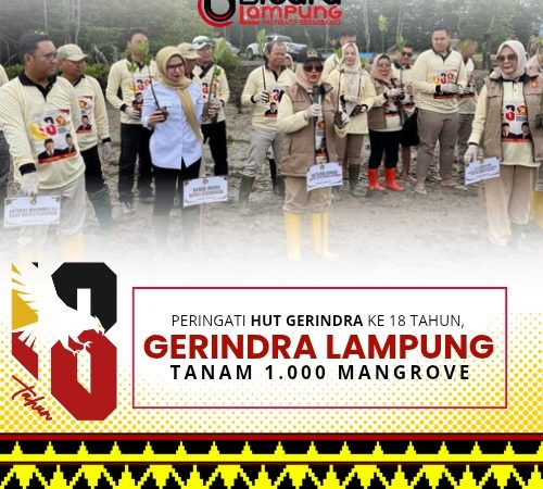 Peringati HUT Gerindra ke-18 Tahun, Gerindra Lampung Tanam 1.000 Mangrove