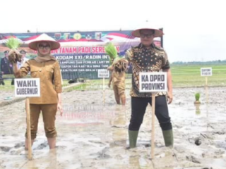 Ketua DPRD Lampung Hadiri Tanam Padi Bersama Forkopimda di Lampung Timur