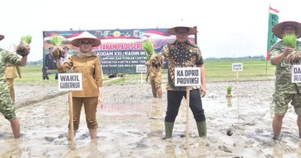 Ketua DPRD Lampung Hadiri Tanam Padi Bersama Forkopimda di Lampung Timur