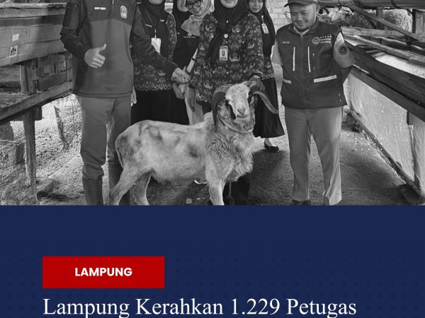 Lampung Kerahkan 1.229 Petugas Awasi Hewan Kurban Iduladha 2026